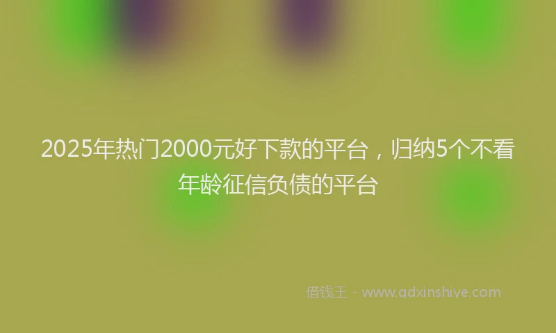 2025年热门2000元好下款的平台，归纳5个不看年龄征信负债的平台
