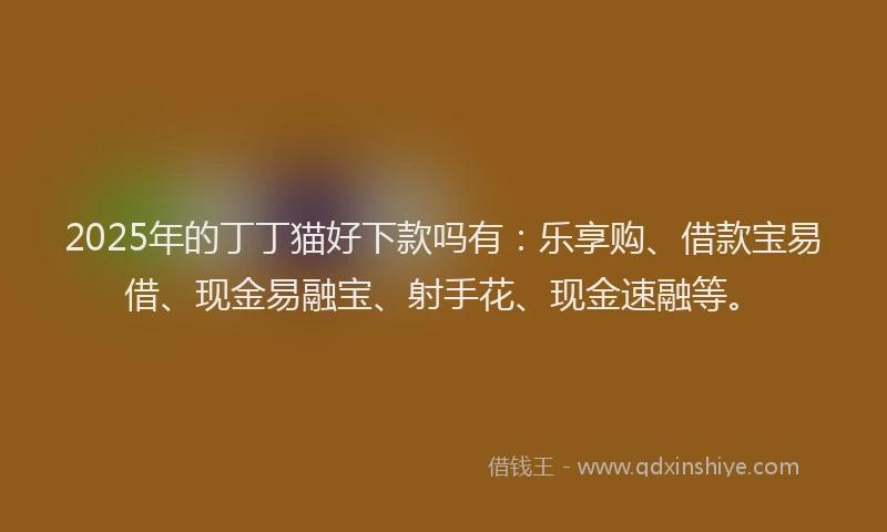2025年的丁丁猫好下款吗有：乐享购、借款宝易借、现金易融宝、射手花、现金速融等。