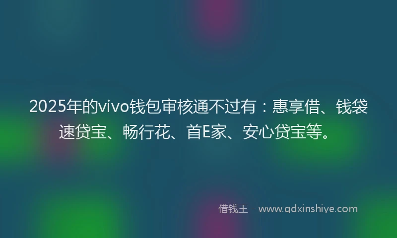 2025年的vivo钱包审核通不过有：惠享借、钱袋速贷宝、畅行花、首E家、安心贷宝等。