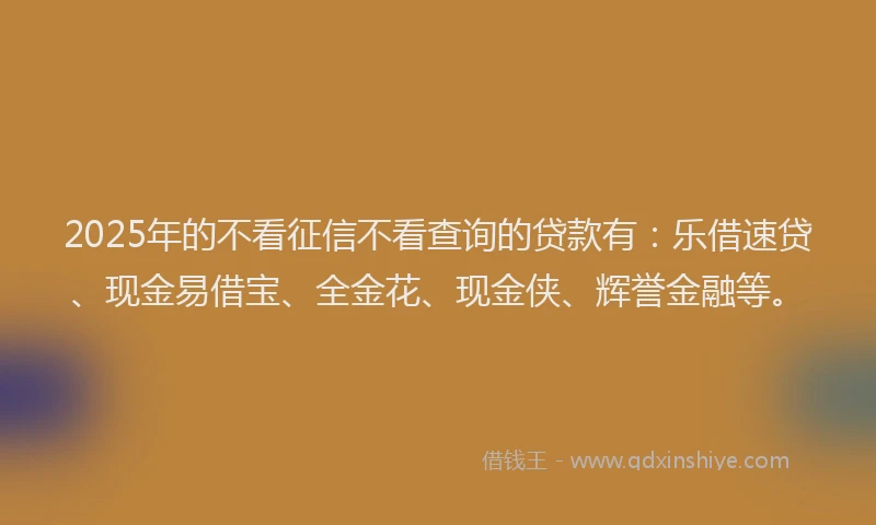 2025年的不看征信不看查询的贷款有：乐借速贷、现金易借宝、全金花、现金侠、辉誉金融等。