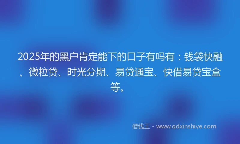 2025年的黑户肯定能下的口子有吗有：钱袋快融、微粒贷、时光分期、易贷通宝、快借易贷宝盒等。