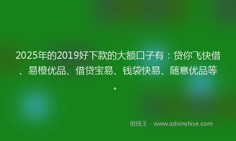 2025年的2019好下款的大额口子有：贷你飞快借、易橙优品、借贷宝易、钱袋快易、随意优品等。