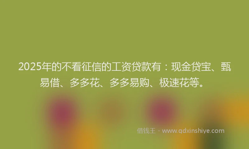 2025年的不看征信的工资贷款有：现金贷宝、甄易借、多多花、多多易购、极速花等。