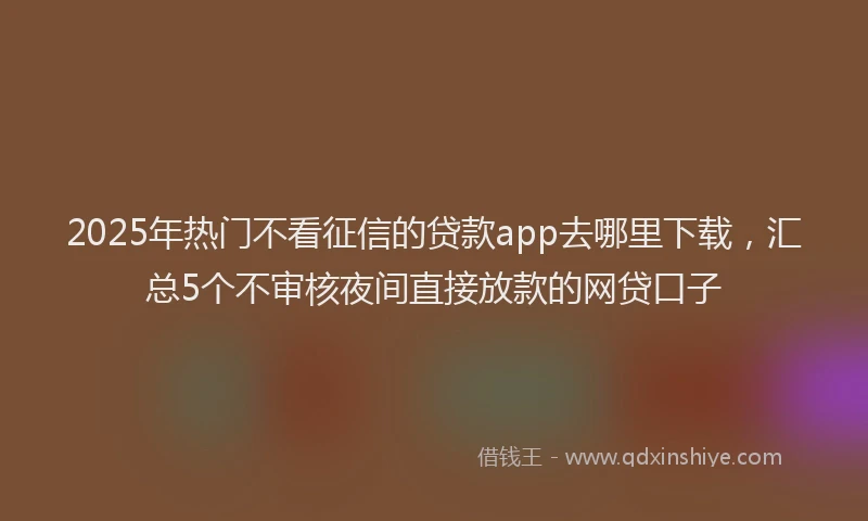 2025年热门不看征信的贷款app去哪里下载，汇总5个不审核夜间直接放款的网贷口子