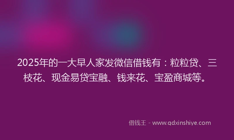 2025年的一大早人家发微信借钱有：粒粒贷、三枝花、现金易贷宝融、钱来花、宝盈商城等。
