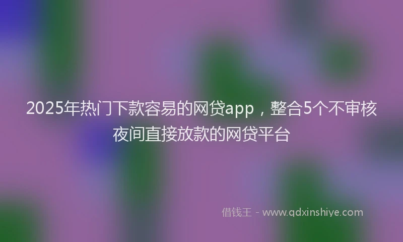 2025年热门下款容易的网贷app,整合5个不审核夜间直接放款的网贷平台