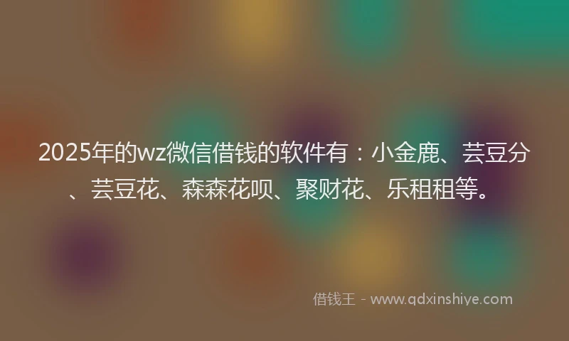 2025年的wz微信借钱的软件有：小金鹿、芸豆分、芸豆花、森森花呗、聚财花、乐租租等。