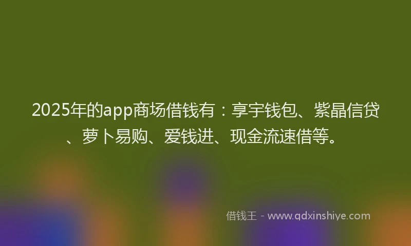 2025年的app商场借钱有：享宇钱包、紫晶信贷、萝卜易购、爱钱进、现金流速借等。