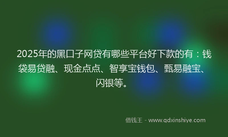 2025年的黑口子网贷有哪些平台好下款的有：钱袋易贷融、现金点点、智享宝钱包、甄易融宝、闪银等。