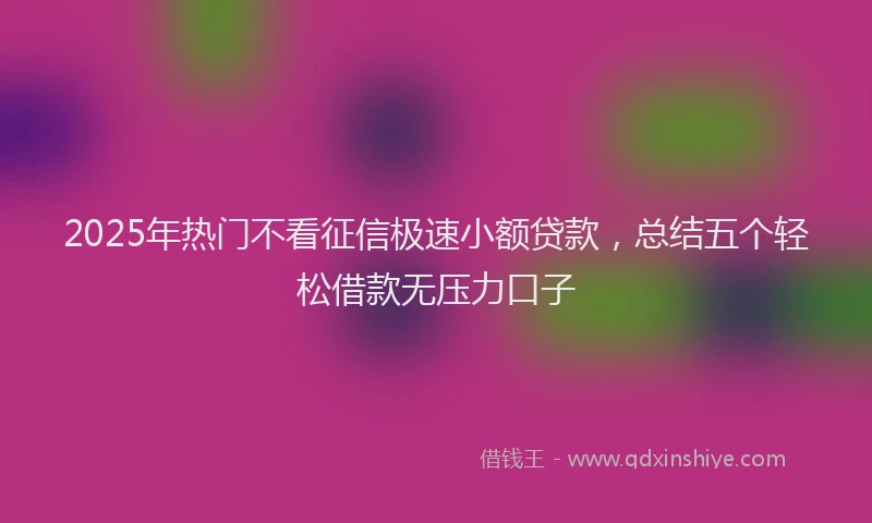 2025年热门不看征信极速小额贷款，总结五个轻松借款无压力口子