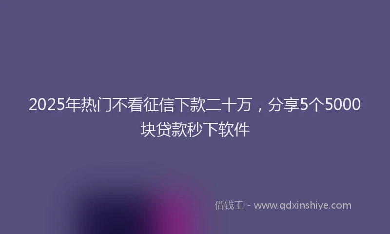 2025年热门不看征信下款二十万，分享5个5000块贷款秒下软件