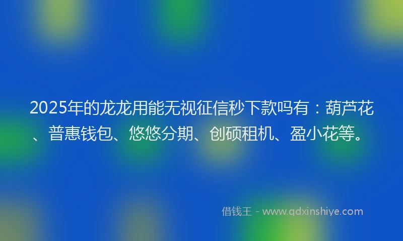 2025年的龙龙用能无视征信秒下款吗有：葫芦花、普惠钱包、悠悠分期、创硕租机、盈小花等。
