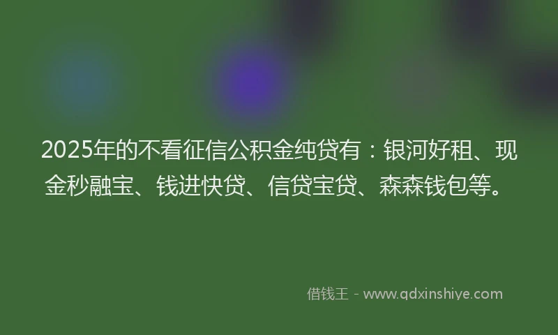 2025年的不看征信公积金纯贷有：银河好租、现金秒融宝、钱进快贷、信贷宝贷、森森钱包等。