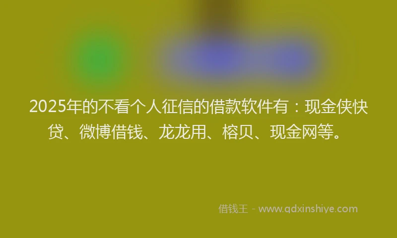2025年的不看个人征信的借款软件有：现金侠快贷、微博借钱、龙龙用、榕贝、现金网等。