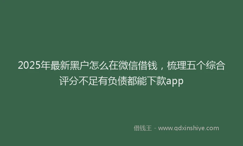 2025年最新黑户怎么在微信借钱，梳理五个综合评分不足有负债都能下款app