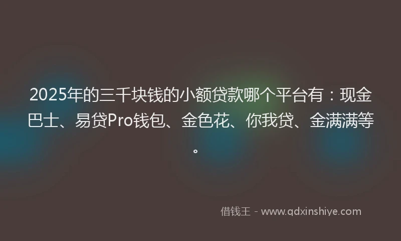 2025年的三千块钱的小额贷款哪个平台有：现金巴士、易贷Pro钱包、金色花、你我贷、金满满等。
