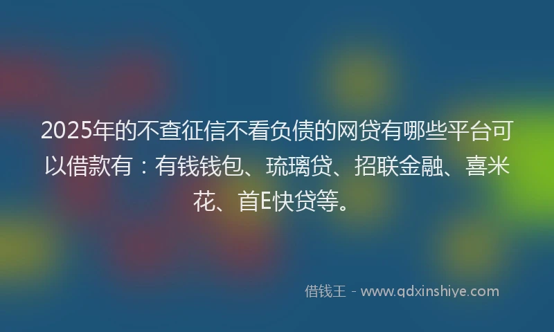 2025年的不查征信不看负债的网贷有哪些平台可以借款有：有钱钱包、琉璃贷、招联金融、喜米花、首E快贷等。