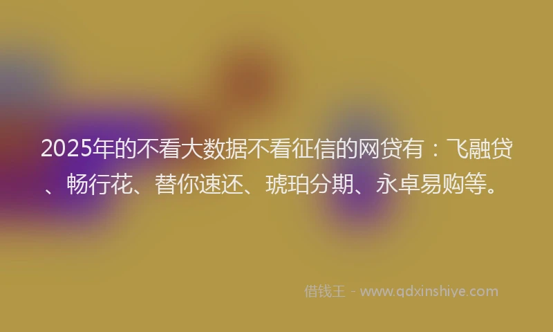 2025年的不看大数据不看征信的网贷有：飞融贷、畅行花、替你速还、琥珀分期、永卓易购等。