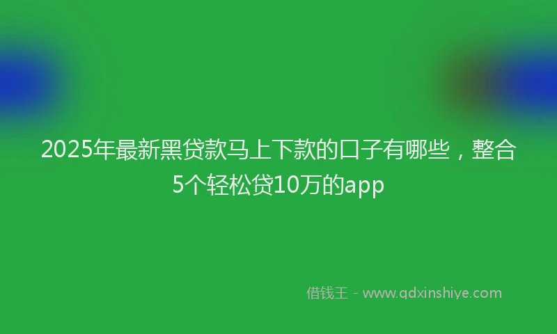 2025年最新黑贷款马上下款的口子有哪些，整合5个轻松贷10万的app