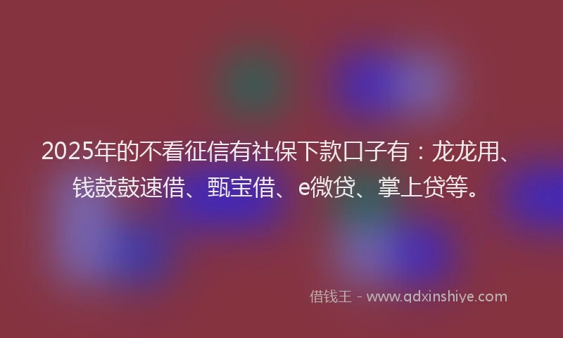 2025年的不看征信有社保下款口子有：龙龙用、钱鼓鼓速借、甄宝借、e微贷、掌上贷等。