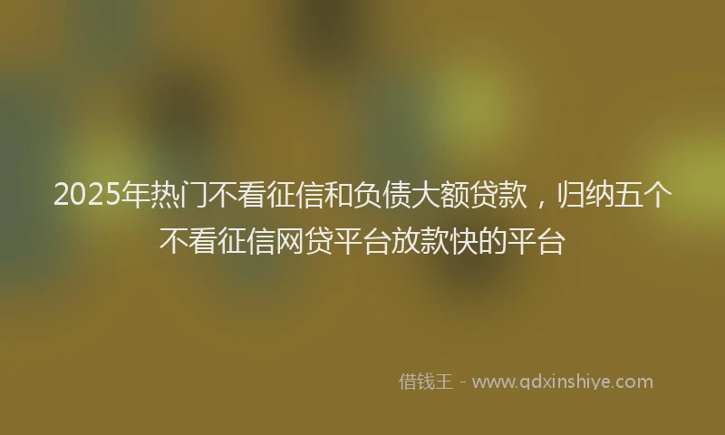 2025年热门不看征信和负债大额贷款，归纳五个不看征信网贷平台放款快的平台