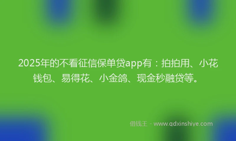 2025年的不看征信保单贷app有：拍拍用、小花钱包、易得花、小金鸽、现金秒融贷等。