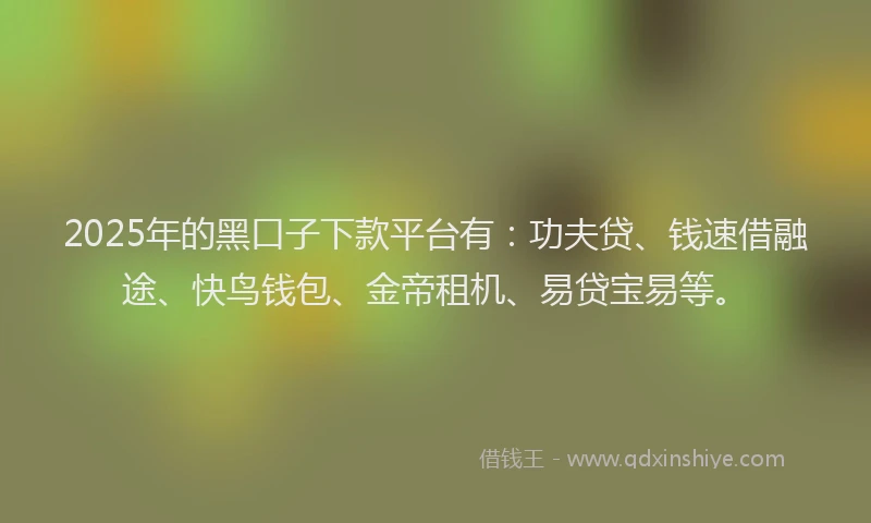 2025年的黑口子下款平台有：功夫贷、钱速借融途、快鸟钱包、金帝租机、易贷宝易等。