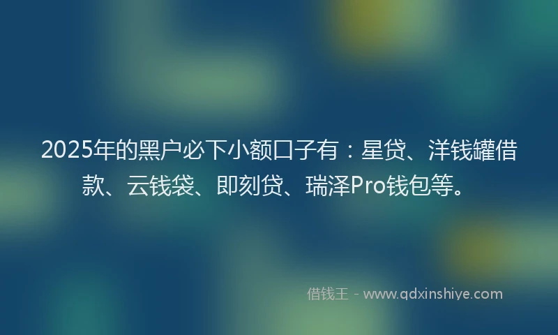 2025年的黑户必下小额口子有：星贷、洋钱罐借款、云钱袋、即刻贷、瑞泽Pro钱包等。