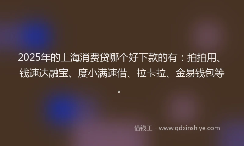 2025年的上海消费贷哪个好下款的有：拍拍用、钱速达融宝、度小满速借、拉卡拉、金易钱包等。