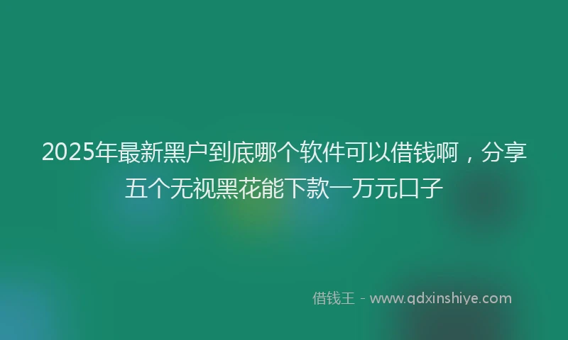 2025年最新黑户到底哪个软件可以借钱啊，分享五个无视黑花能下款一万元口子