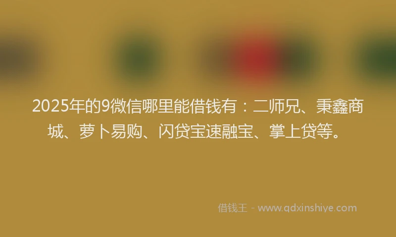 2025年的9微信哪里能借钱有：二师兄、秉鑫商城、萝卜易购、闪贷宝速融宝、掌上贷等。