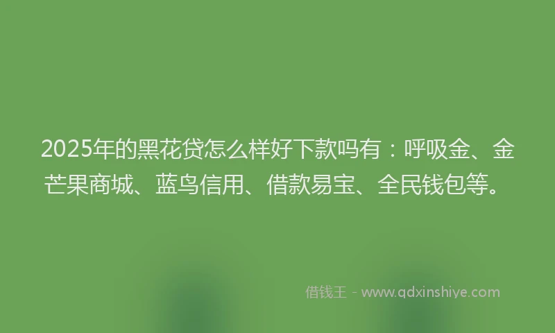 2025年的黑花贷怎么样好下款吗有：呼吸金、金芒果商城、蓝鸟信用、借款易宝、全民钱包等。