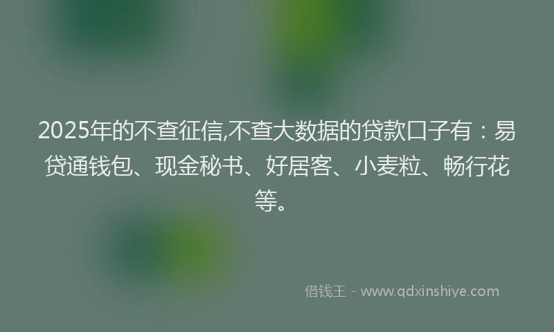 2025年的不查征信,不查大数据的贷款口子有：易贷通钱包、现金秘书、好居客、小麦粒、畅行花等。