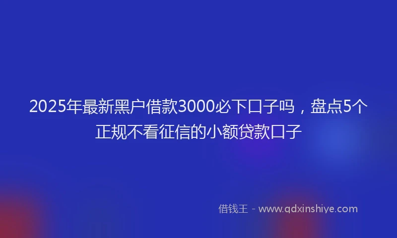 2025年最新黑户借款3000必下口子吗，盘点5个正规不看征信的小额贷款口子