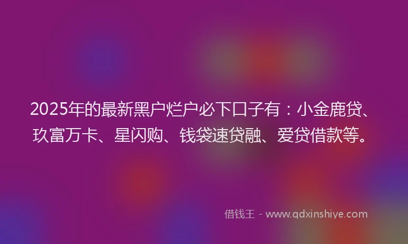 2025年的最新黑户烂户必下口子有：小金鹿贷、玖富万卡、星闪购、钱袋速贷融、爱贷借款等。