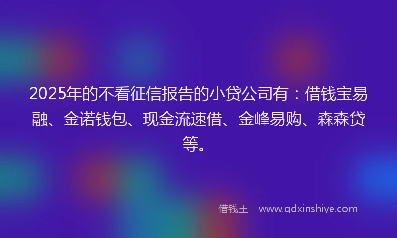 2025年的不看征信报告的小贷公司有：借钱宝易融、金诺钱包、现金流速借、金峰易购、森森贷等。