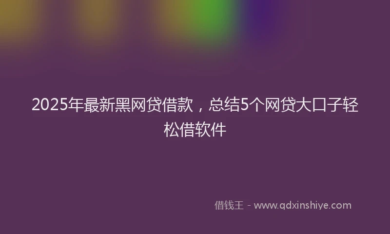 2025年最新黑网贷借款，总结5个网贷大口子轻松借软件