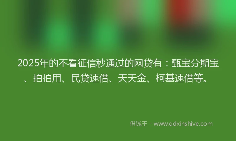 2025年的不看征信秒通过的网贷有：甄宝分期宝、拍拍用、民贷速借、天天金、柯基速借等。