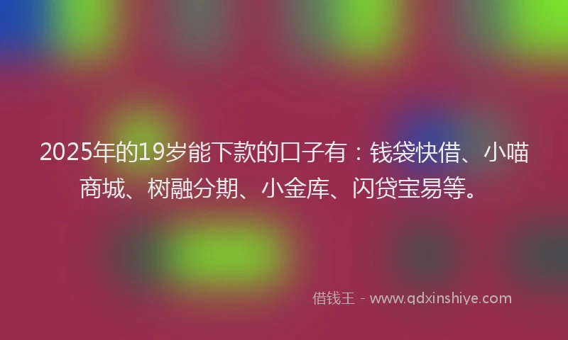 2025年的19岁能下款的口子有：钱袋快借、小喵商城、树融分期、小金库、闪贷宝易等。
