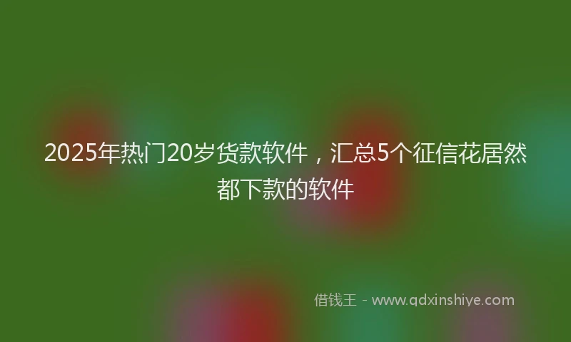 2025年热门20岁货款软件，汇总5个征信花居然都下款的软件