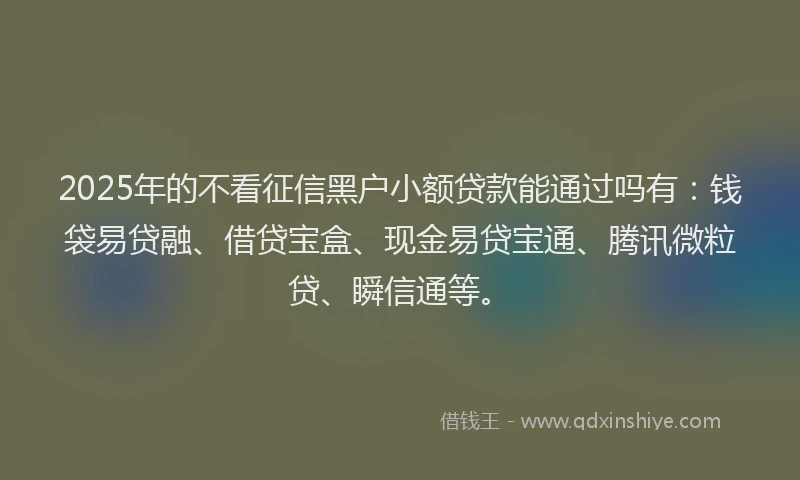 2025年的不看征信黑户小额贷款能通过吗有：钱袋易贷融、借贷宝盒、现金易贷宝通、腾讯微粒贷、瞬信通等。