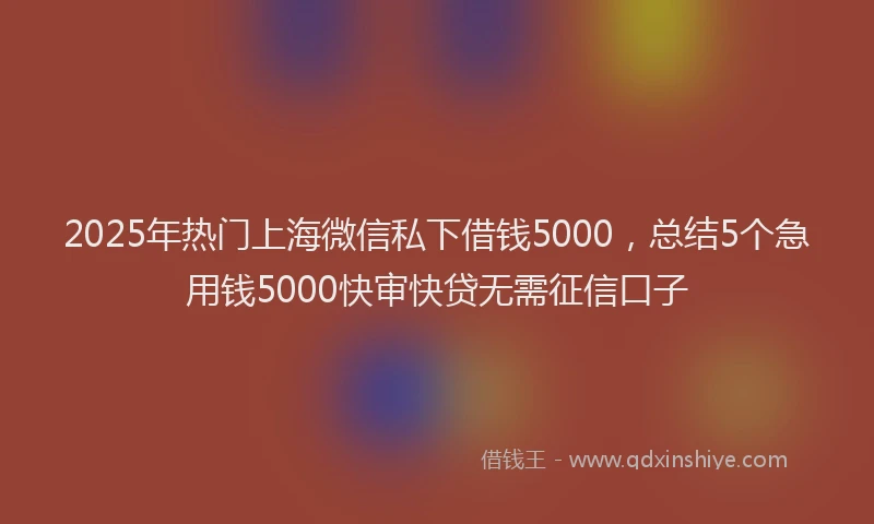 2025年热门上海微信私下借钱5000，总结5个急用钱5000快审快贷无需征信口子