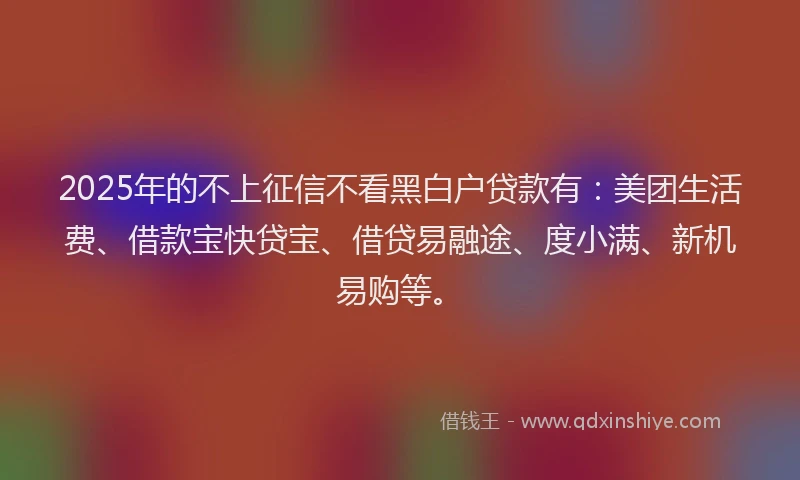 2025年的不上征信不看黑白户贷款有：美团生活费、借款宝快贷宝、借贷易融途、度小满、新机易购等。