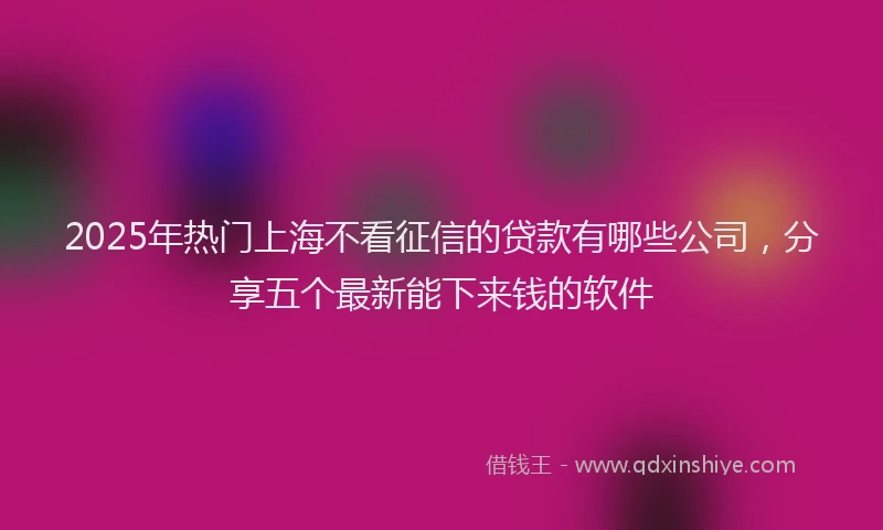 2025年热门上海不看征信的贷款有哪些公司，分享五个最新能下来钱的软件