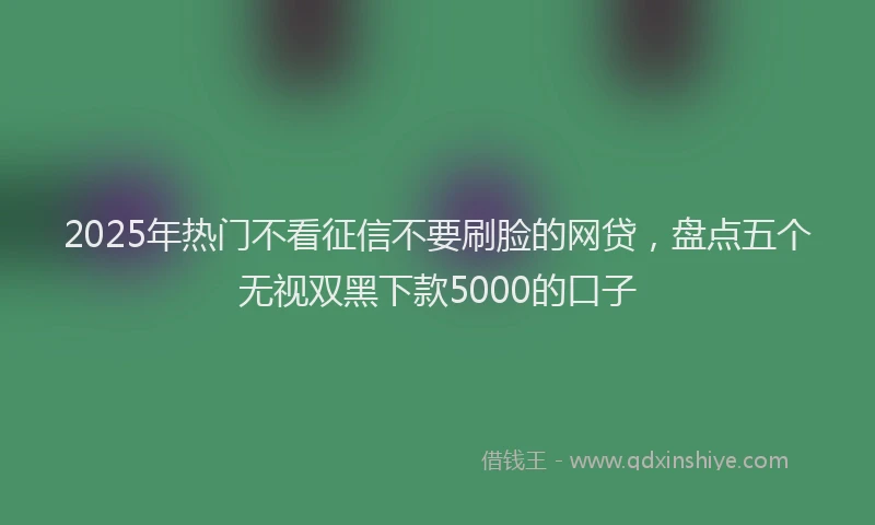 2025年热门不看征信不要刷脸的网贷，盘点五个无视双黑下款5000的口子