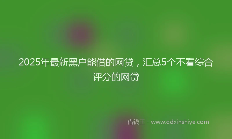 2025年最新黑户能借的网贷，汇总5个不看综合评分的网贷