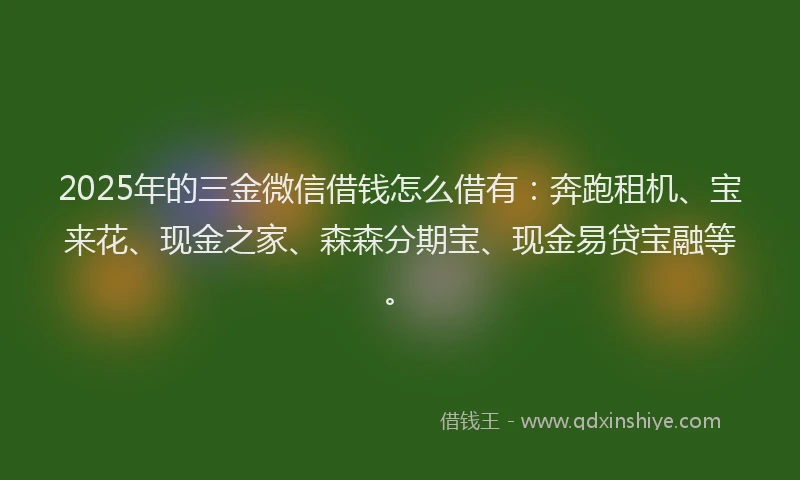2025年的三金微信借钱怎么借有：奔跑租机、宝来花、现金之家、森森分期宝、现金易贷宝融等。