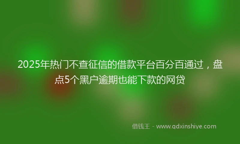 2025年热门不查征信的借款平台百分百通过，盘点5个黑户逾期也能下款的网贷