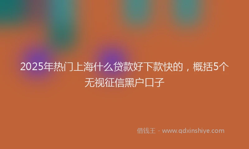2025年热门上海什么贷款好下款快的，概括5个无视征信黑户口子