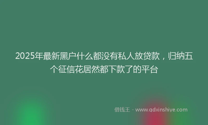 2025年最新黑户什么都没有私人放贷款，归纳五个征信花居然都下款了的平台